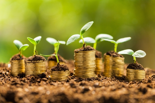 Business Loans