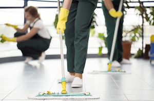 Cleaning house